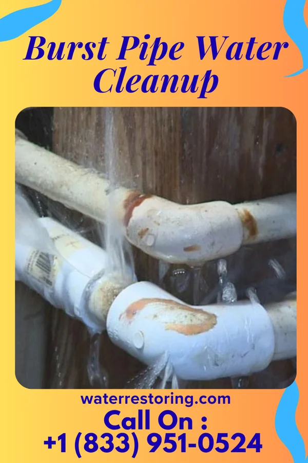 Burst Pipe Water Cleanup in Harrisonburg, LA